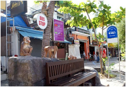 Tourists go ape for Krabi bus stops